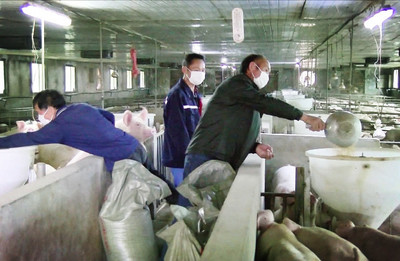 决战脱贫攻坚，通城在行动 特色农副产品铺就富民增收路