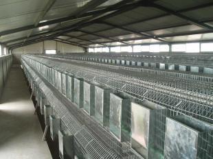 从湖北到浙江 全国优质兔笼供应网络助力农副产品产业链升级