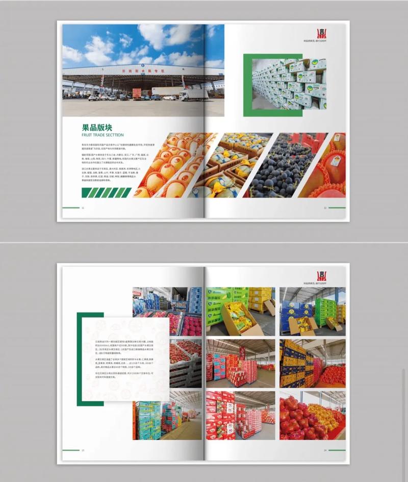 农副产品交易中心招商加盟画册案例分享