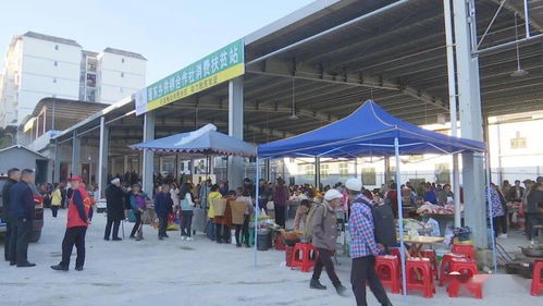 蓬东乡农贸市场正式投用，农副产品购销迎来新篇章