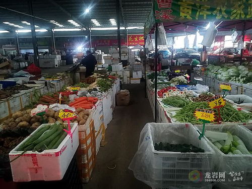 东山农副产品综合市场迈向标准化 提升服务品质，守护市民“菜篮子”