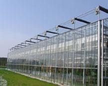 山东连栋温室大棚造价分析 以潍坊为例