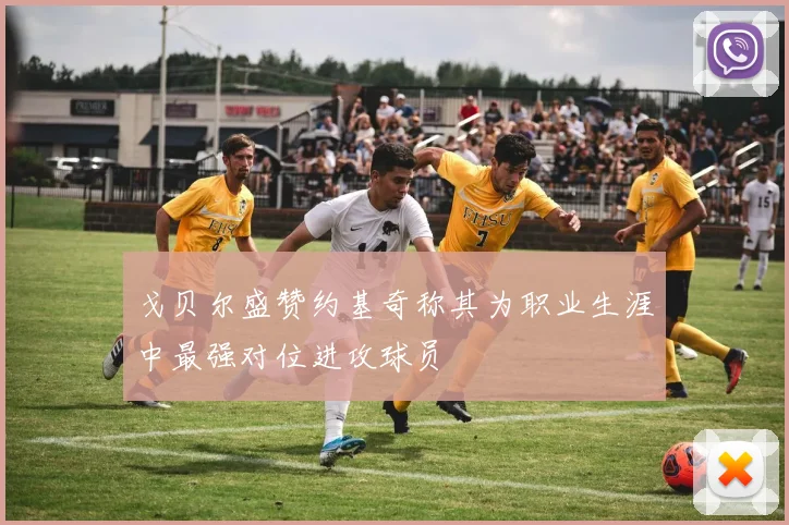 戈贝尔盛赞约基奇称其为职业生涯中最强对位进攻球员