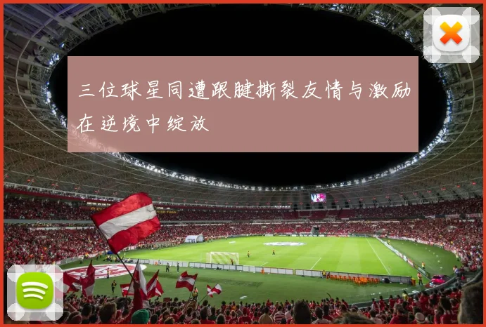三位球星同遭跟腱撕裂友情与激励在逆境中绽放